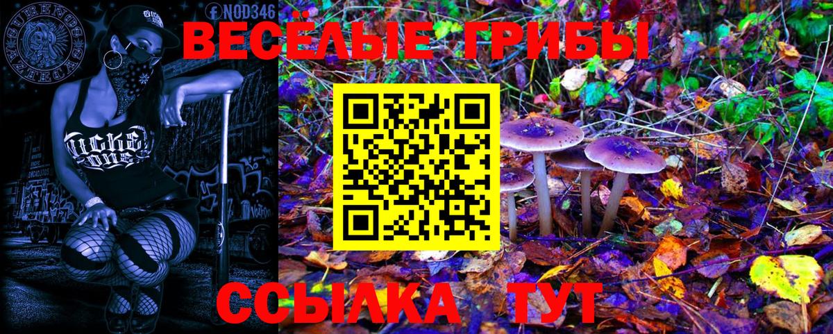 Галлюциногенные грибы прущие грибы Шелехов